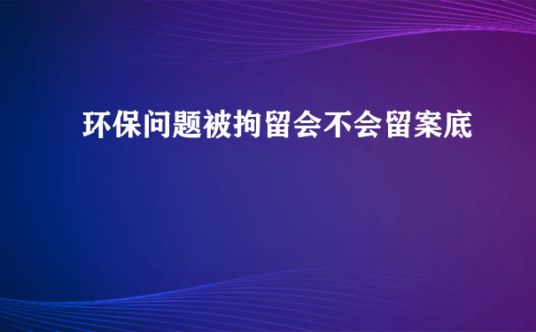 环保问题被拘留会不会留案底