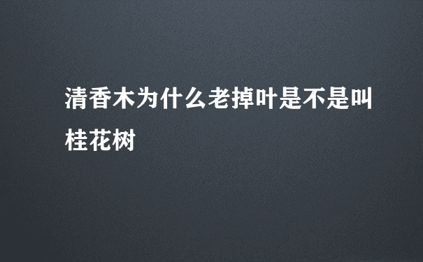 清香木为什么老掉叶是不是叫桂花树