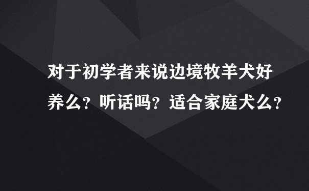 对于初学者来说边境牧羊犬好养么？听话吗？适合家庭犬么？