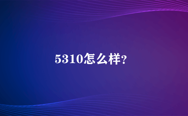 5310怎么样？