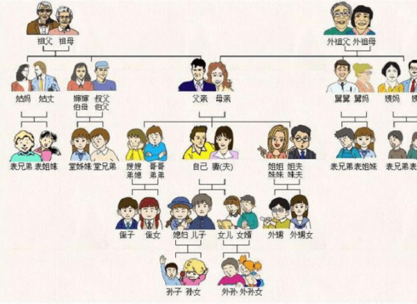 填表时，家庭成员中“与本人关系”和“有何联系”分别怎么填？要准确答案