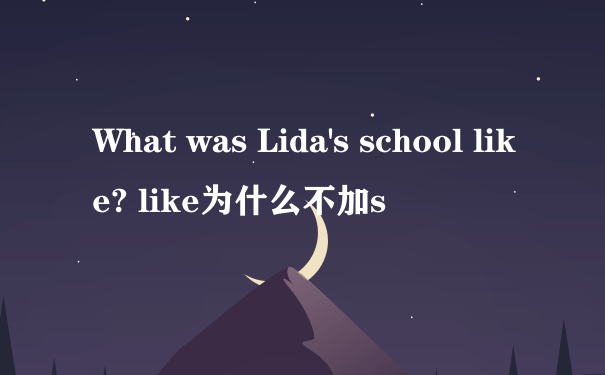 What was Lida's school like? like为什么不加s