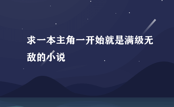 求一本主角一开始就是满级无敌的小说