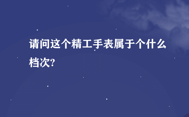 请问这个精工手表属于个什么档次?