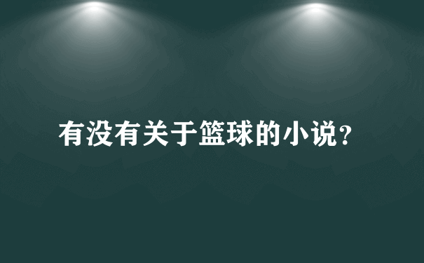 有没有关于篮球的小说？