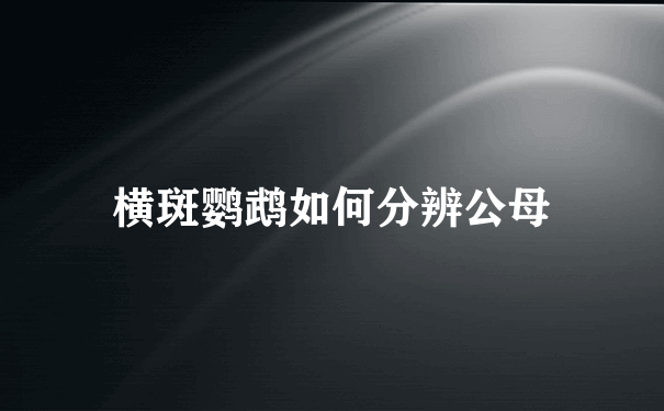 横斑鹦鹉如何分辨公母