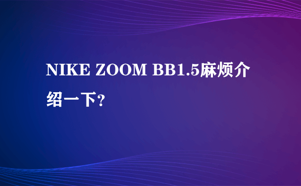 NIKE ZOOM BB1.5麻烦介绍一下？