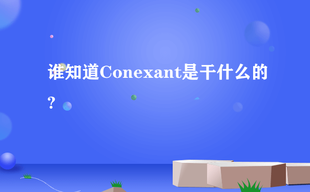 谁知道Conexant是干什么的?