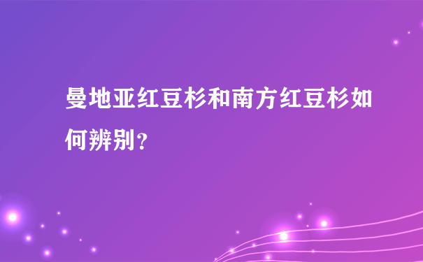 曼地亚红豆杉和南方红豆杉如何辨别？