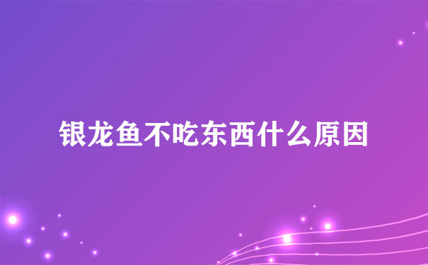 银龙鱼不吃东西什么原因