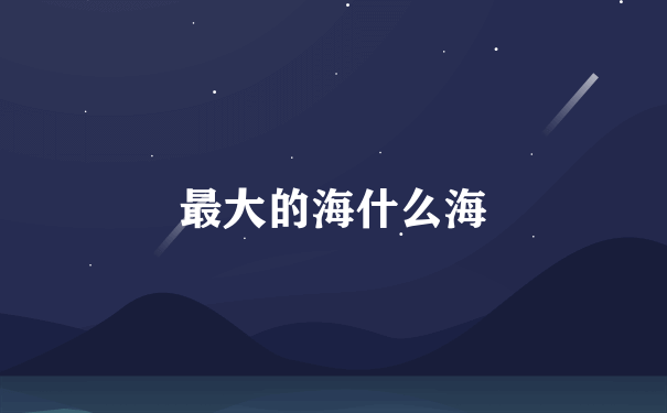 最大的海什么海