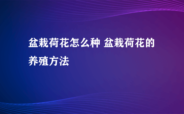 盆栽荷花怎么种 盆栽荷花的养殖方法