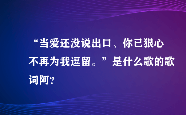 “当爱还没说出口、你已狠心不再为我逗留。”是什么歌的歌词阿？