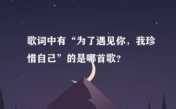 歌词中有“为了遇见你，我珍惜自己”的是哪首歌？