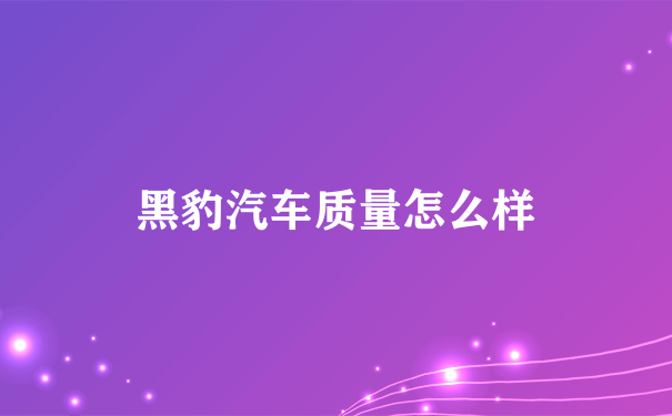 黑豹汽车质量怎么样