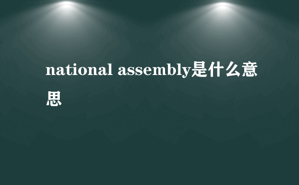 national assembly是什么意思