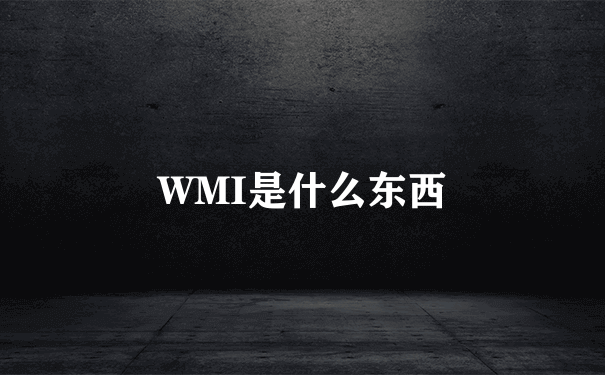 WMI是什么东西