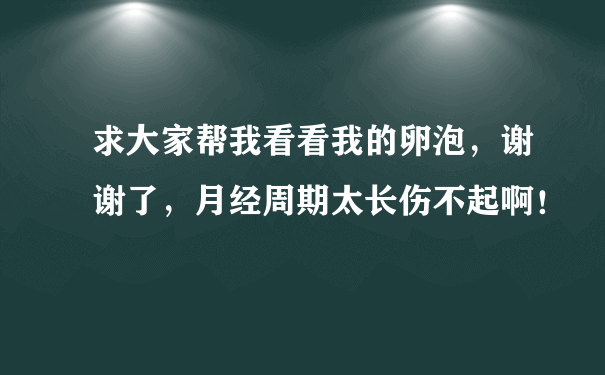 求大家帮我看看我的卵泡，谢谢了，月经周期太长伤不起啊！