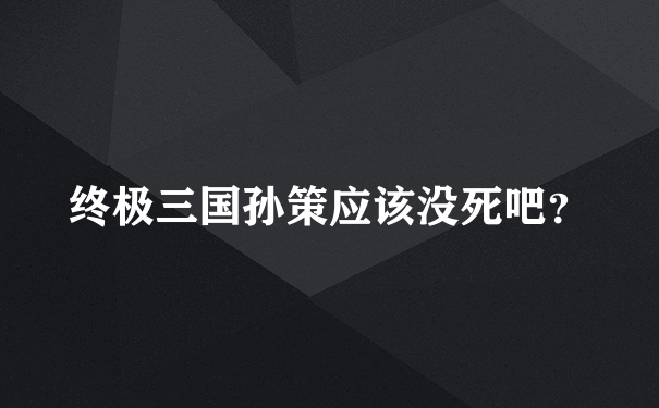 终极三国孙策应该没死吧？