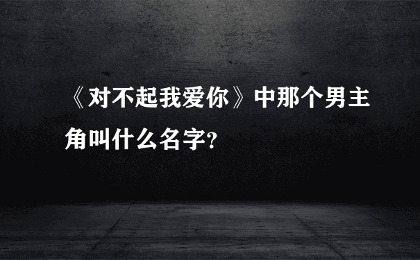 《对不起我爱你》中那个男主角叫什么名字？