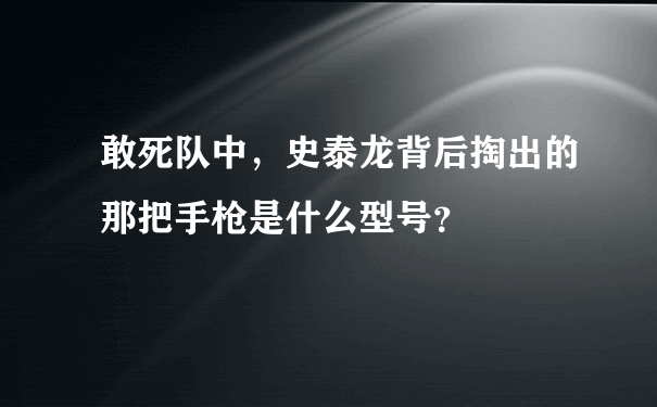 敢死队中，史泰龙背后掏出的那把手枪是什么型号？