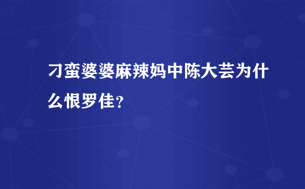 刁蛮婆婆麻辣妈中陈大芸为什么恨罗佳？