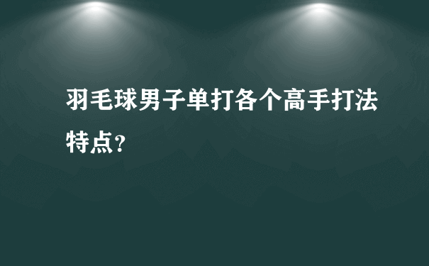 羽毛球男子单打各个高手打法特点？