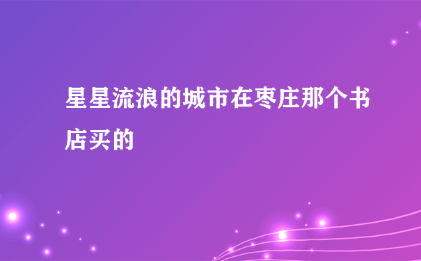 星星流浪的城市在枣庄那个书店买的