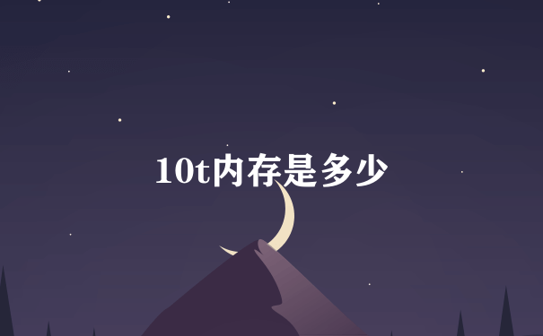 10t内存是多少