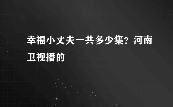 幸福小丈夫一共多少集？河南卫视播的