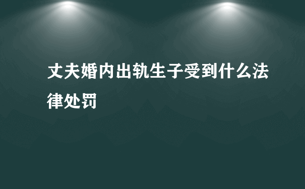 丈夫婚内出轨生子受到什么法律处罚