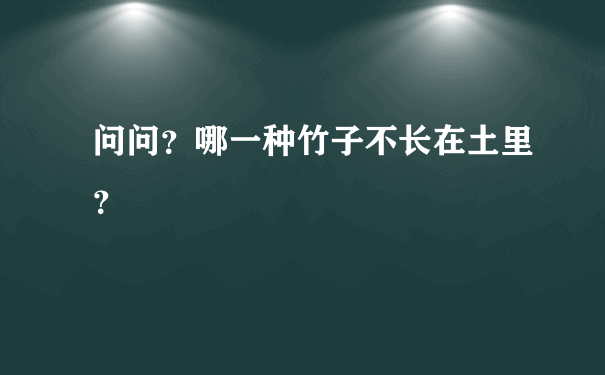 问问？哪一种竹子不长在土里？