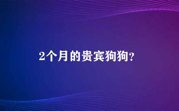 2个月的贵宾狗狗？