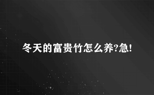 冬天的富贵竹怎么养?急!