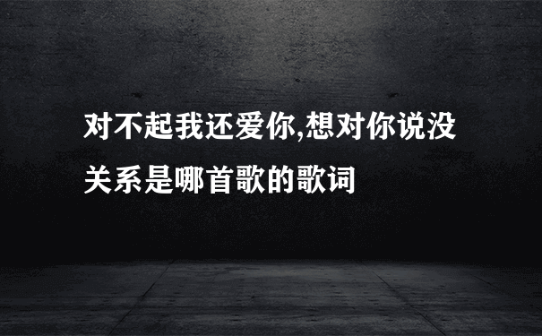 对不起我还爱你,想对你说没关系是哪首歌的歌词