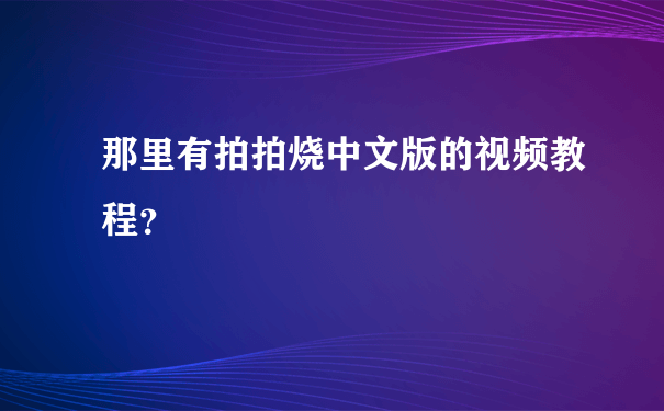 那里有拍拍烧中文版的视频教程？