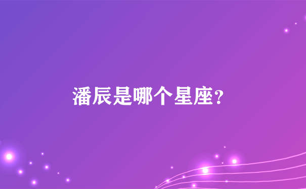 潘辰是哪个星座？