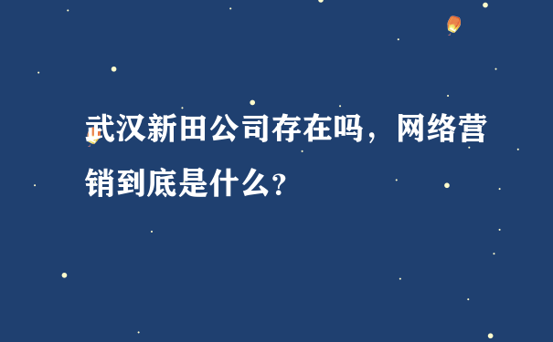 武汉新田公司存在吗，网络营销到底是什么？