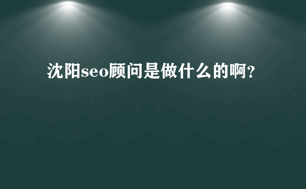 沈阳seo顾问是做什么的啊？