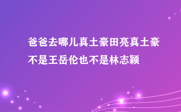 爸爸去哪儿真土豪田亮真土豪不是王岳伦也不是林志颖