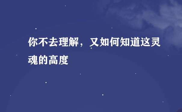 你不去理解，又如何知道这灵魂的高度