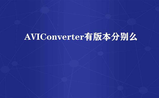 AVIConverter有版本分别么