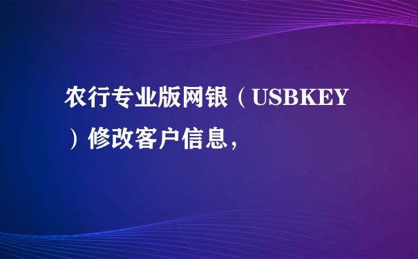 农行专业版网银（USBKEY）修改客户信息，