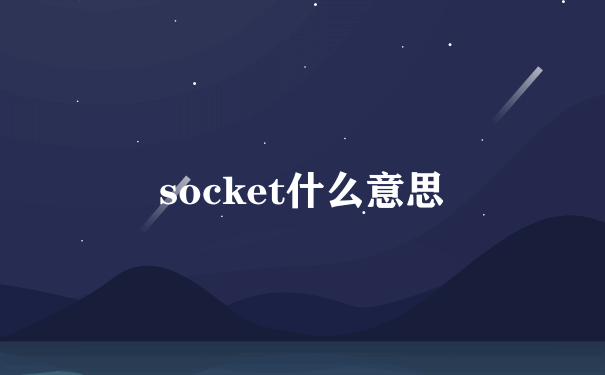 socket什么意思