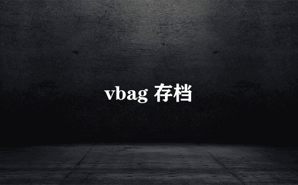 vbag 存档