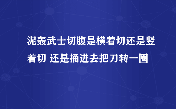 泥轰武士切腹是横着切还是竖着切 还是捅进去把刀转一圈