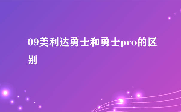 09美利达勇士和勇士pro的区别