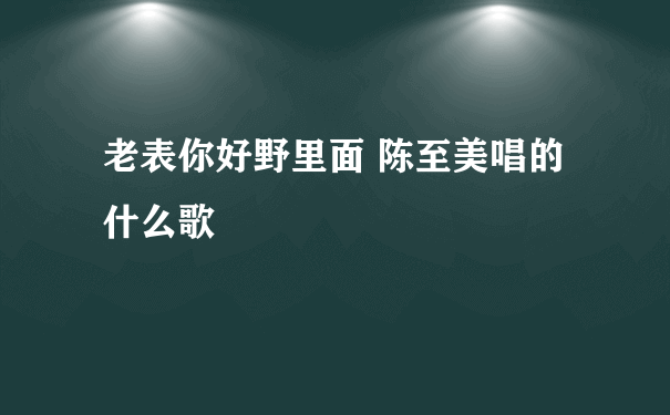 老表你好野里面 陈至美唱的什么歌