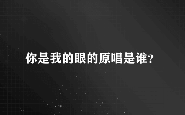 你是我的眼的原唱是谁？