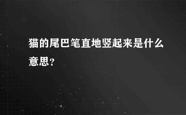 猫的尾巴笔直地竖起来是什么意思？